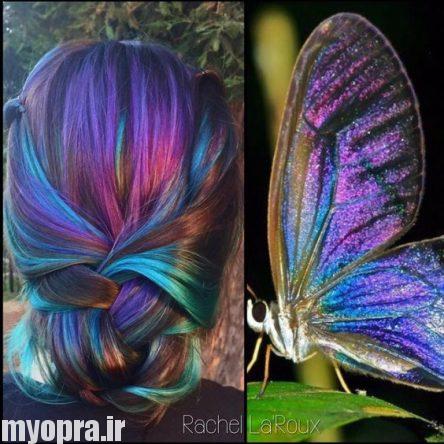 تصاویر مدل هایلایت و لولایت فانتزی 2017 به رنگ بال پروانه 
